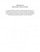 ANALISIS DEL SITIO (AREA DE JUEGOS Y CANCHA DE FUTBOLL)