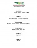 Reporte del libro el feo