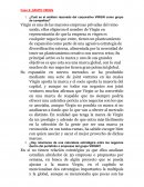 Administracion ¿Cuál es el análisis razonado del corporativo VIRGIN como grupo de compañías?