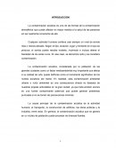 Contaminación Sonica. La contaminación acústica