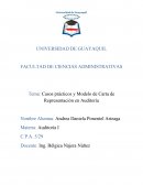 Casos prácticos y Modelo de Carta de Representación en Auditoría