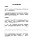 EL BIOMAGNETISMO DEFINICIÓN