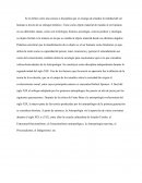 Realidad del ser humano a través de un enfoque holístico.