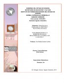 LOS ADOLESCENTES Y LA REDEFINICIÓN DE SUS RELACIONES EN LA FAMILIA Y EN LA ESCUELA