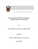 SISTEMAS ERGONÓMICOS: EJEMPLOS LABORALES DE CADA SISTEMA