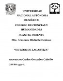 La novela “huesos de lagartija” del autor Federico Navarrete