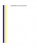 ORGANIZACIÓN INDUSTRIAL “ANALISIS DE GASOLINERAS”