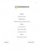 Transformación de Desechos Orgánicos en Abono