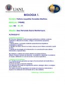 Actividad 4.1 [pic 3] La Huella Ecológica