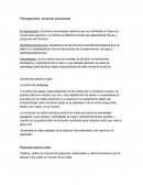 Psicogeriatria leopoldo salvarezza