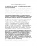 Las organizaciones están constituidas por diferentes unidades productivas que cumplen funciones específicas.