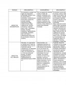 SUPER AREAS CULTURALES