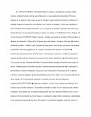 LA CAUSA CURIANA