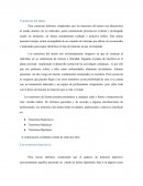 Trastornos del ánimo