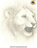 Proyecto “Plan de motivación”