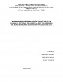 MORBLIDAD REGISTRADA POR PIE DIABÉTICO EN LA CONSULTA EXTERNA DEL HOSPITAL DOCTOR ARMANDO DEL MUNICIPIO TUREN ESTADO PORTUGUESA 2009-2013