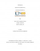 TRABAJO COLABORATIVO 1 ACTIVIDAD INDIVIDUAL