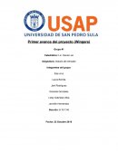 Primer avance del proyecto (Wingers)