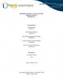 METODOLOGIA DE LA INVETIGACION TRABAJO GRUPAL MOMENTO 1