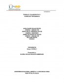 TRABAJO COLABORATIVO 1 CURSO DE TOPOGRAFIA
