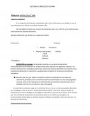 SISTEMAS DE MEDIOS EN ESPAÑA ¿Qué es un Sistema?