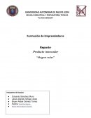 Reporte Producto innovador - “Magnet radar”