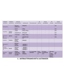Medicamentos. ANTIBACTERIANOS BETA LACTÁMICOS