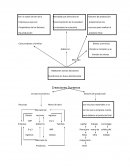 Trabajo economia. Creaciones Duramax