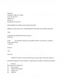 Pets de vaciado concreto