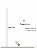 PLAN DE TRABAJO - DIASGNÓSTICO DEL ENTORNO Y DESARROLLO DE LA IDEA