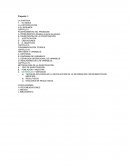 AUDITORÍA DE LA GESTIÓN DEL CAPITAL HUMANO DE LA RED DE SERVICIOS DE SALUD CHICLAYO PERIODO 2011- 2012