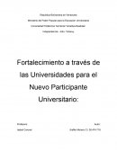 Fortalecimiento a traves de las universidades