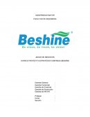 AVANCE PROYECTO ESTRATÉGICO EMPRESA BESHINE