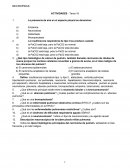 Necropsias - Actividades