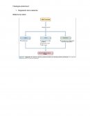 Fisiologia endocrina 2