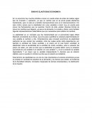ENSAYO SOBRE ELASTICIDAD ECONOMICA