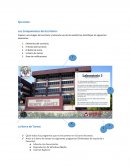 Ejercicios de uso de windows