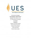 Administración Estratégica Plan Estratégico "Stylish Planner"