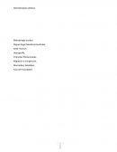 Demografía, Pirámides Poblacionales, Migración e Inmigración