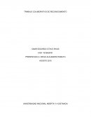 TECNICAS DE INVESTIGACION TRABAJO COLABORATIVO DE RECONOCIMIENTO