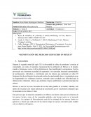 Segmentación del mercado cervecero en México