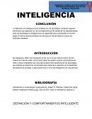 INTELIGENCIA PSICOLOGICA