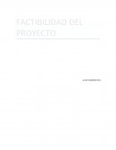FACTIBILIDAD DEL PROYECTO EMPRENDEDURISMO