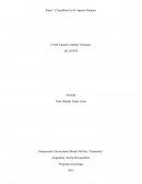 PLACER Y EQUILIBRIO EN EL APARATO PSÍQUICO