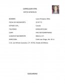 Curriculum vitae - ejemplo de CV