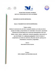 Elaborar la estructura de una micro o pequeña empresa por cada uno de los equipos de trabajo, proponiéndola con creatividad e innovación. Página 1