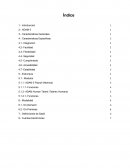 Caso ADAM Technologies International