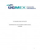 Mejoras del libro “El Pequeño Cerdo Capitalista”