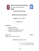 Practica de Tubos Aletados