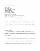 Informe de test wisc iv